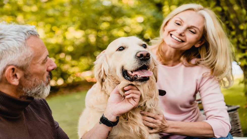 4 Reasons Why Pets Are Beneficial for Seniors